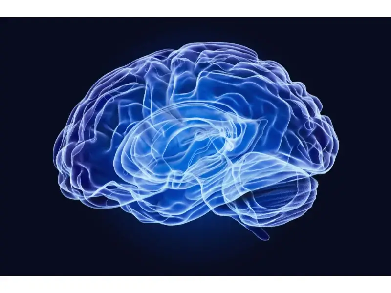 Neurodevelopmental 2